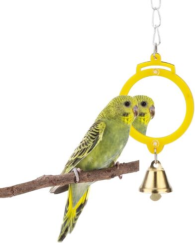 Hypeety Pet Bird Mirror with Bell Interactive Treat Puzzle Parrot Toy Bird Cage Mirror Small Bird Swing Chew Toys Fun Cage Accessories (Color Random) (Heart Shape) in Saudi Arabia