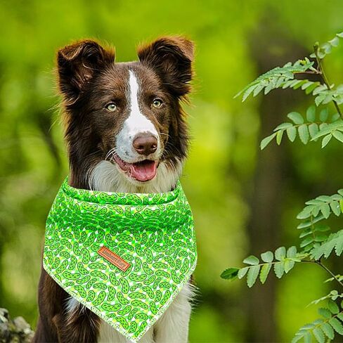 Lionheart glory Green Cucumbers Dog Bandana 1 Pack Washable Soft Dog Scarf, Square Adjustable Dog Bandanas for Small Dogs and Cats in Saudi Arabia