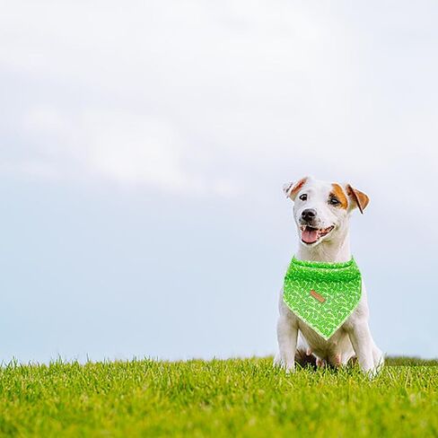 Lionheart glory Green Cucumbers Dog Bandana 1 Pack Washable Soft Dog Scarf, Square Adjustable Dog Bandanas for Small Dogs and Cats in Saudi Arabia