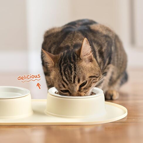 وعاء للحيوانات الأليفة سعة 1.5 كوب مع مجموعة حصيرة، ووعاءان من السيراميك للكلاب صغيرة الحجم، وبساط تغذية للكلاب مصنوع من السيليكون المقاوم للماء وغير قابل للانزلاق، ووعاء طعام للكلاب الصغيرة، ومستلزمات الكلاب، وإكسسوارات الحيوانات الأليفة، وخالية من مادة  in Kuwait