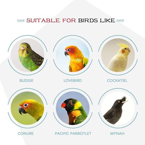 Hilitchi 3 Pack Bird Toys Set, Hanging Bells, Rattan Balls and Twisted String for Parrots, Parakeet, Conure, Cockatiel, Mynah, Love Birds Small Parakeet Cages Decorative Accessories in Saudi Arabia