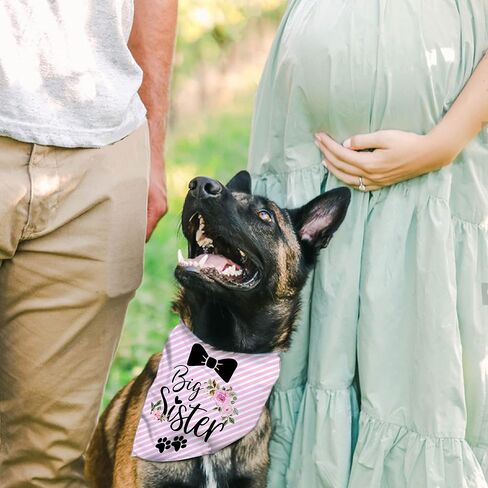 إعلان الحمل عن الحمل على شكل أخت كبيرة للكلاب، دعامة صور للحيوانات الأليفة لإعلان الطفل، باندانا الجرو، وشاح الحيوانات الأليفة لحفلة الكشف عن الجنس in Kuwait