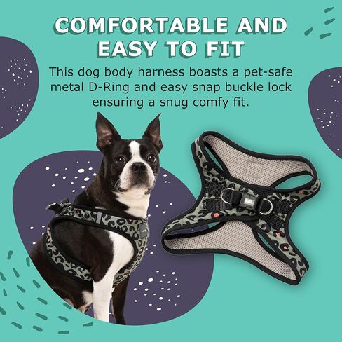FuzzYard Savanna Step in Dog Harness | Size M | Comfortable Fit for Everyday Walking & Training in Saudi Arabia