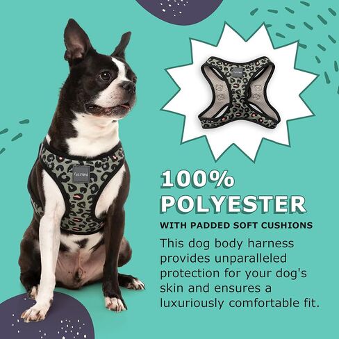 FuzzYard Savanna Step in Dog Harness | Size M | Comfortable Fit for Everyday Walking & Training in Saudi Arabia