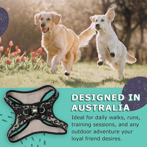 FuzzYard Savanna Step in Dog Harness | Size M | Comfortable Fit for Everyday Walking & Training in Saudi Arabia
