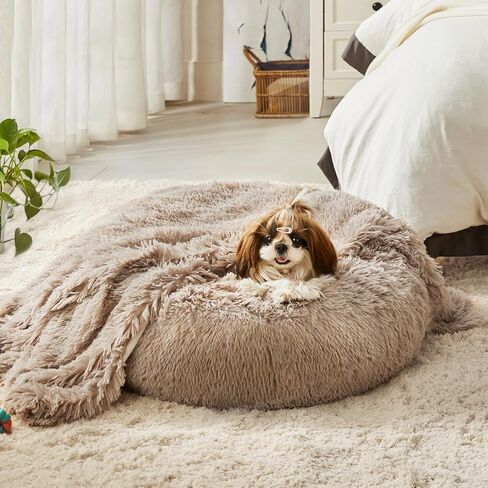 WESTERN HOME WH Small Calming Dog Bed Cat Bed with Blanket in Kuwait