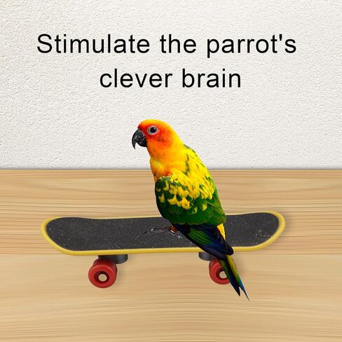 5 قطع من لعبة تدريب الطيور للببغاوات، لعبة ذكاء الببغاء، عربة تسوق صغيرة، حلقات تكديس كرة السلة، لعبة الطيور، مجموعة ألعاب حامل على سطح الطاولة لطيور الببغاء والكونيور والكوكاتيل in Kuwait