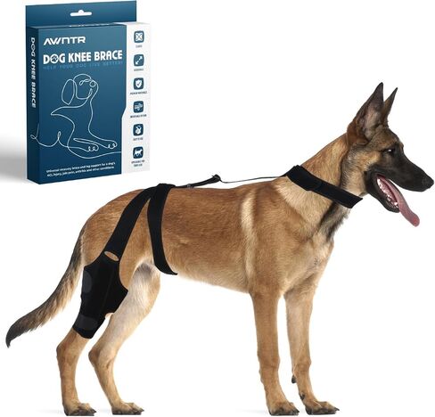Dog Brace for Acl Tear Back Leg - Hip Dysplasia Brace for Dogs - Dog Hip Brace - Acl Brace for Dogs - Knee Brace for Dogs with Torn Acl - Dog Acl Knee Brace - Dog Acl Brace Hind Leg - Dog Acl Brace -L in Saudi Arabia