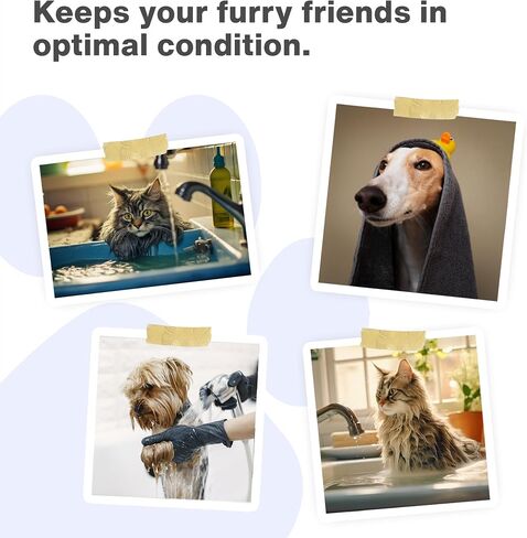 Natural Dog Shampoo Hypoallergenic with Rosemary and Melissa Essential Oil | Dogs and Cats Cleaning and Care for Your Pet Go Care PETTERGO in Saudi Arabia