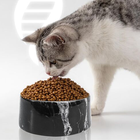 Natural Marble Pet Bowl, Suitable for Small and Medium-Sized Cats and Dogs, with Non-slip Pad, No Pressure, Easy to Clean in Saudi Arabia