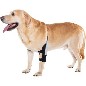 Dog Elbow Brace for Treat ACL CCL, Front Leg Brace Wrap with Metal Spring Strips for Dogs with osteoarthritis, limping from Joint Pain, Keeps The Joint Warm and Stable (M_Right)
