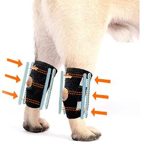 NeoAlly - 3-in-1 Short Rear Leg Hock Brace, Dog Leg Brace for Rear Leg with Rigid & Spring Inserts, Hock and Ankle Support, Dog Leg Sleeve with Reflective Straps, Small, 1 Pair