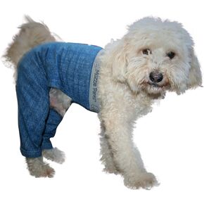 Walking Dog Pants, E-Collar Alternative, Dog Pajamas, Small Dog, Blue