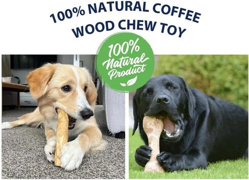 Coffee Wood Dog Chew Stick - Coffee Wood Stick for Your Pets - Non Toxic - Safe - Puppy Chew Toy for Teething - Made in Vietnam - 1 Pack/2 Pieces (Medium) in Kuwait