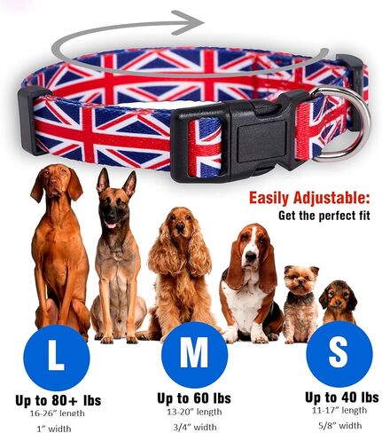 Native Pup Maryland Flag Dog Collar (Maryland, Large) in Saudi Arabia