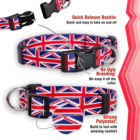 Native Pup Maryland Flag Dog Collar (Maryland, Large) in Saudi Arabia