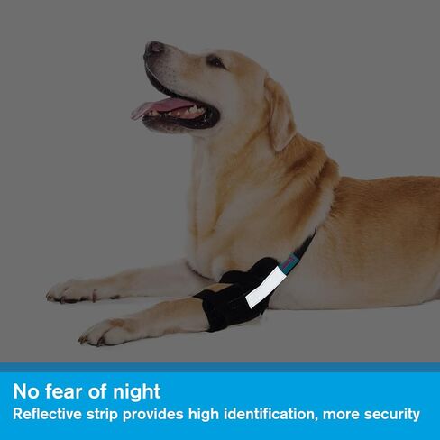 Dog Elbow Brace for Treat ACL CCL, Front Leg Brace Wrap with Metal Spring Strips for Dogs with osteoarthritis, limping from Joint Pain, Keeps The Joint Warm and Stable (M_Right) in Saudi Arabia