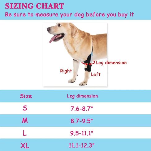 Dog Elbow Brace for Treat ACL CCL, Front Leg Brace Wrap with Metal Spring Strips for Dogs with osteoarthritis, limping from Joint Pain, Keeps The Joint Warm and Stable (M_Right) in Saudi Arabia