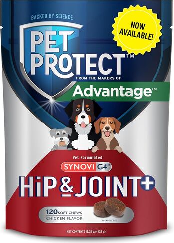 Pet Protect Hip & Joint+ Supplement for Dogs, Chicken Flavor 120ct in Saudi Arabia
