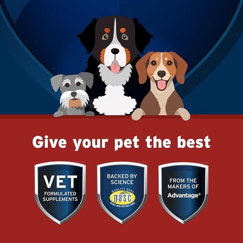 Pet Protect Hip & Joint+ Supplement for Dogs, Chicken Flavor 120ct in Saudi Arabia