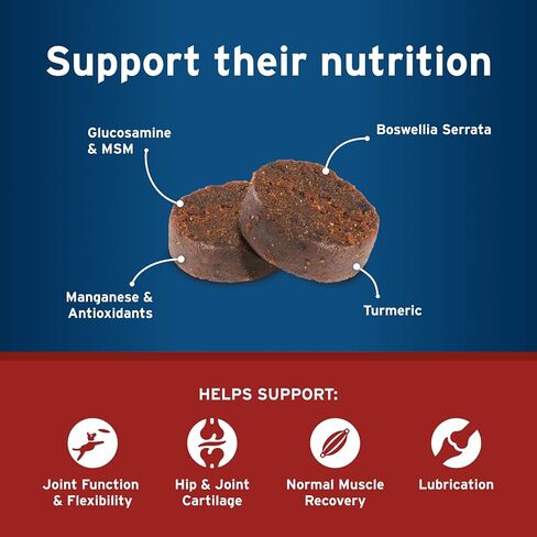 Pet Protect Hip & Joint+ Supplement for Dogs, Chicken Flavor 120ct in Saudi Arabia