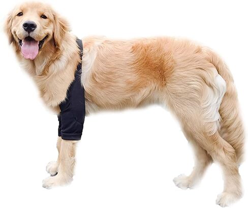 Dog Elbow Protector, Dog Leg Recovery Sleeve for Prevent Licking Wound, Joint Sleeves with Mesh Pad for Medium Large Dogs Thickened Black XL in Saudi Arabia