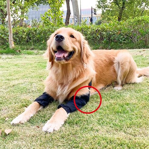 Dog Elbow Protector, Dog Leg Recovery Sleeve for Prevent Licking Wound, Joint Sleeves with Mesh Pad for Medium Large Dogs Thickened Black XL in Saudi Arabia