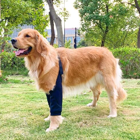Dog Elbow Protector, Dog Leg Recovery Sleeve for Prevent Licking Wound, Joint Sleeves with Mesh Pad for Medium Large Dogs Thickened Black XL in Saudi Arabia