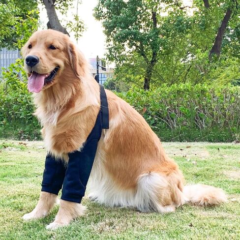 Dog Elbow Protector, Dog Leg Recovery Sleeve for Prevent Licking Wound, Joint Sleeves with Mesh Pad for Medium Large Dogs Thickened Black XL in Saudi Arabia