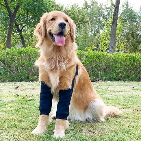 Dog Elbow Protector, Dog Leg Recovery Sleeve for Prevent Licking Wound, Joint Sleeves with Mesh Pad for Medium Large Dogs Thickened Black XL in Saudi Arabia