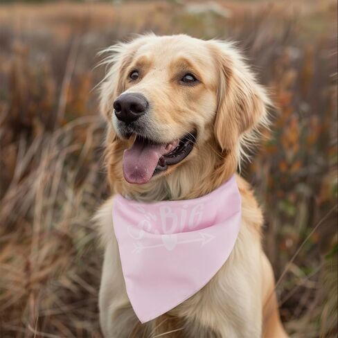 تمت ترقيته إلى Big Sister Dog Bandana 2 حزمة من وشاح الكلب الأليف دعائم إعلان الحمل إعلان الحمل للكلب باندانا يكشف عن جنس الكلب هدية لمالك محبي الكلاب (وردي، أرجواني) كبير in Kuwait