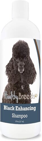 Healthy Breeds Poodle Black Enhancing Shampoo 8 oz in Saudi Arabia