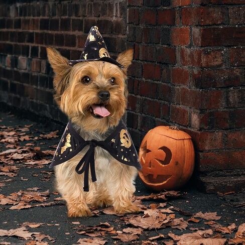 أزياء موغوكو للهالوين للكلاب الساحرة، سترات تنكرية للحيوانات الأليفة في الهالوين، زي قطة رائعتين، عباءة من الصوف على شكل حيوانات، ملابس دافئة للجرو والكلاب الصغيرة والقطط in Kuwait