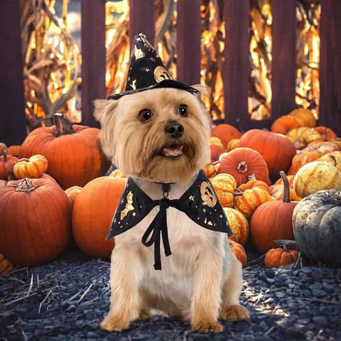 أزياء موغوكو للهالوين للكلاب الساحرة، سترات تنكرية للحيوانات الأليفة في الهالوين، زي قطة رائعتين، عباءة من الصوف على شكل حيوانات، ملابس دافئة للجرو والكلاب الصغيرة والقطط in Kuwait