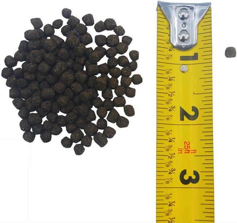 Fisher's Aquatics Koi Fish Food 2.0 lb - Koi Diet Medium 3/16" Floating Pellets Fish Food for Ponds, Koi Food Fall Spring Summer Winter Goldfish Food in Saudi Arabia