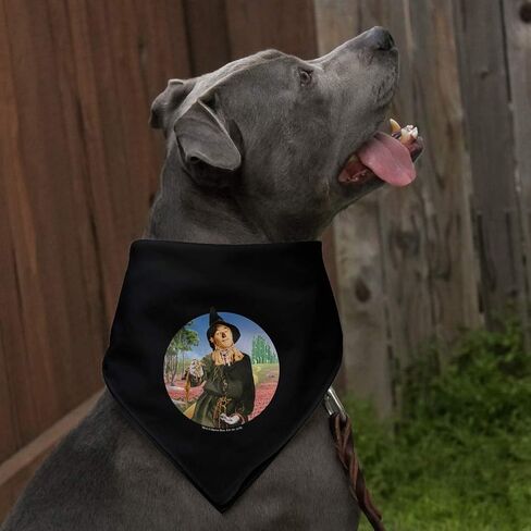 Wizard of Oz Scarecrow Character Dog Pet Bandana in Saudi Arabia