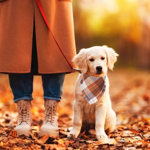ADOGGYGO Fall Dog Bandanas with Tassels Edges, Stylish Plaid Dog Halloween Thanksgiving Scarf Bib, Orange Plaid Fall Bandanas for Small Dogs Pets (Small, Fall) in Saudi Arabia