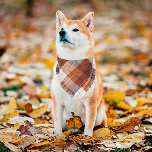 ADOGGYGO Fall Dog Bandanas with Tassels Edges, Stylish Plaid Dog Halloween Thanksgiving Scarf Bib, Orange Plaid Fall Bandanas for Small Dogs Pets (Small, Fall) in Saudi Arabia