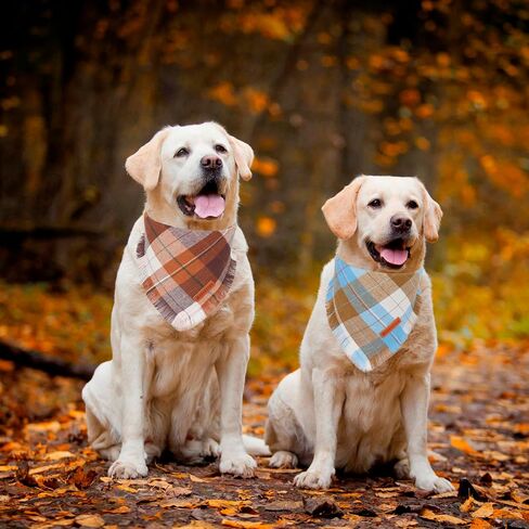 ADOGGYGO Fall Dog Bandanas with Tassels Edges, Stylish Plaid Dog Halloween Thanksgiving Scarf Bib, Orange Plaid Fall Bandanas for Small Dogs Pets (Small, Fall) in Saudi Arabia