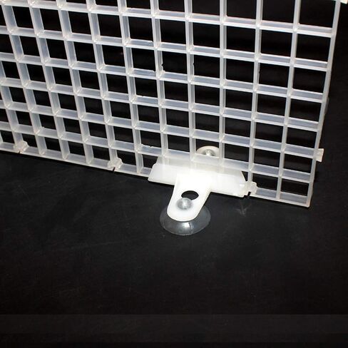 lasenersm 12 Pieces Aquarium Divider Sucker Clip Fish Tank Suction Cup Holder Fish Tank Divider Suction Cups Sheet Holder Suction Cup for Aquarium, White in Saudi Arabia