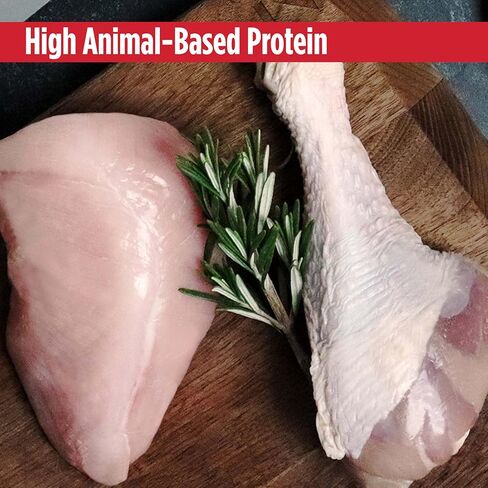 Nulo طعام القطط والقطط الرطب المفروم جيدًا والخالي من الحبوب، دجاج في مرق، 2.8 أونصة، 12 علبة in Kuwait