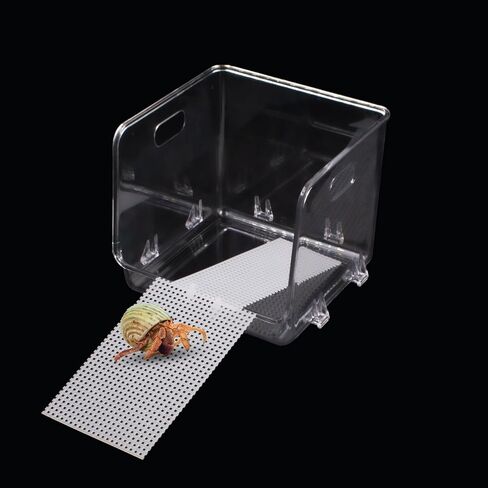 خزان مياه شفاف من نوع السلطعون الناسك مع فتحة كبيرة، لعبة تسلق السلطعون الناسك منحدر قابل للقطع، قفص خزان حوض السمك ملحقات حمام السباحة بالمياه المالحة، موطن السلطعون الناسك لسرطان الناسك الصغير أو المتوسط in Kuwait