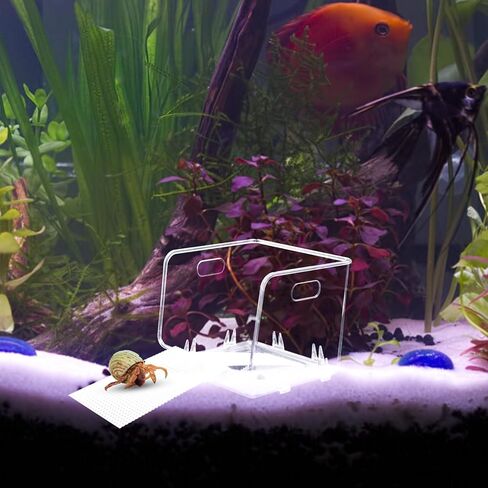 خزان مياه شفاف من نوع السلطعون الناسك مع فتحة كبيرة، لعبة تسلق السلطعون الناسك منحدر قابل للقطع، قفص خزان حوض السمك ملحقات حمام السباحة بالمياه المالحة، موطن السلطعون الناسك لسرطان الناسك الصغير أو المتوسط in Kuwait