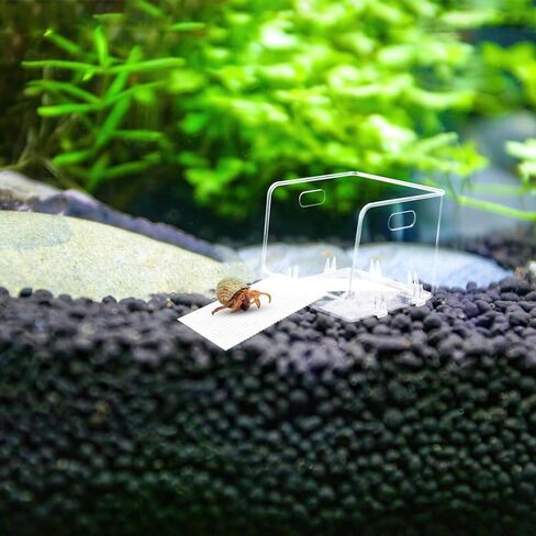 خزان مياه شفاف من نوع السلطعون الناسك مع فتحة كبيرة، لعبة تسلق السلطعون الناسك منحدر قابل للقطع، قفص خزان حوض السمك ملحقات حمام السباحة بالمياه المالحة، موطن السلطعون الناسك لسرطان الناسك الصغير أو المتوسط in Kuwait