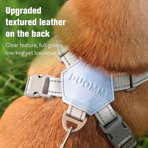 مجموعة مقود سرج للكلاب - تصميم على شكل X، شبكة مسامية، خفيفة الوزن، عاكسة، مناسبة للكلاب الصغيرة والمتوسطة الحجم (M: 13.22-22 رطل) in Kuwait