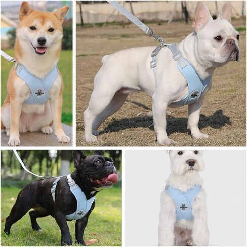 مجموعة مقود سرج للكلاب - تصميم على شكل X، شبكة مسامية، خفيفة الوزن، عاكسة، مناسبة للكلاب الصغيرة والمتوسطة الحجم (M: 13.22-22 رطل) in Kuwait