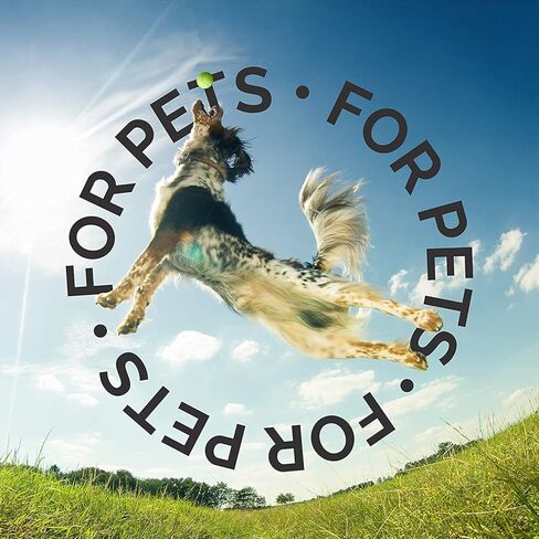 شامبو الكلاب بالعسل واللوز من بارك تو بيسكس، 16 أونصة - مزيج عشبي فريد من نوعه، يخفف من جفاف الجلد، ويحمي ويصلح الجلد والمعطف in Kuwait