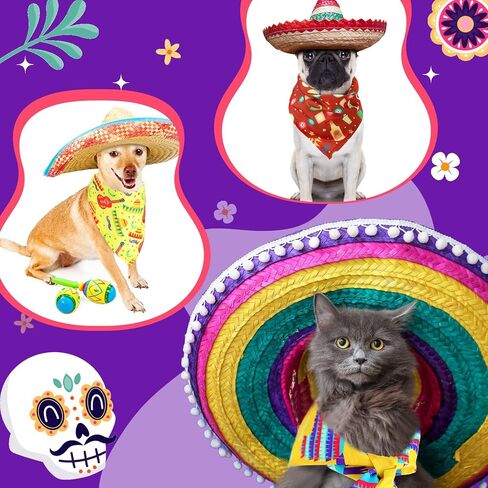 70 قطعة من عصابات الكلاب الصيفية السائبة من سينكو دي مايو للكلاب، وشاح كلب مثلث مكسيكي، مريلة للكلاب، باندانا للحيوانات الأليفة، باندانا للقطط، باندانا للكلاب المتوسطة والكبيرة، مستلزمات الجراء والقطط in Kuwait