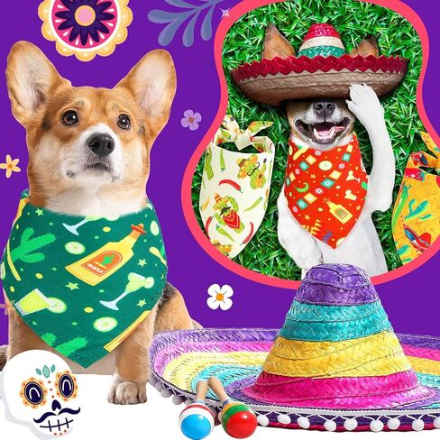70 قطعة من عصابات الكلاب الصيفية السائبة من سينكو دي مايو للكلاب، وشاح كلب مثلث مكسيكي، مريلة للكلاب، باندانا للحيوانات الأليفة، باندانا للقطط، باندانا للكلاب المتوسطة والكبيرة، مستلزمات الجراء والقطط in Kuwait