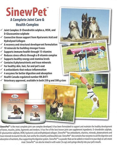 Omega Alpha Pets - Performance & Mobility-A Complete Joint Care and Health Complex + D-Chondroitin, D-Glucosamine, MSM, Hyaluronic Acid & Collagen- SinewPet-500g (One Bottles) in Saudi Arabia